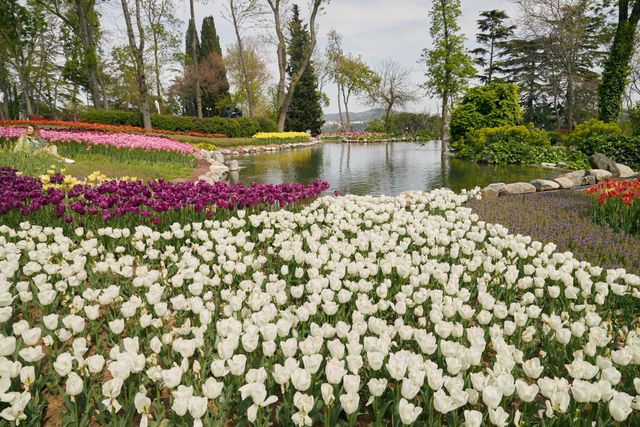 romantic spots of Istanbul : emigrant park tulip festival